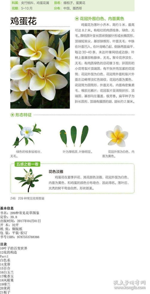 養花參考書(shū)籍