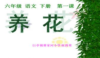 養花閱讀概括本文主要內容