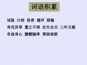 我從老舍養花的我們體會(huì )到