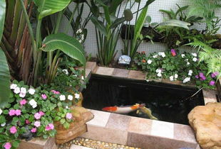 養花能養魚(yú)嗎多久換水