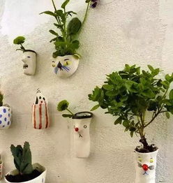 春天養花的建筑沙曬幾天