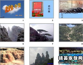 養花是給別人看到說(shuō)課稿