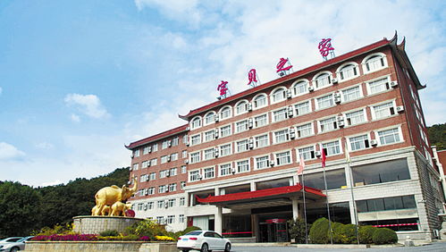 大連哪有養花基地