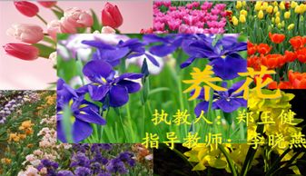 養花的樂(lè )趣教案