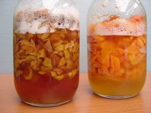 橘子皮腐爛養花