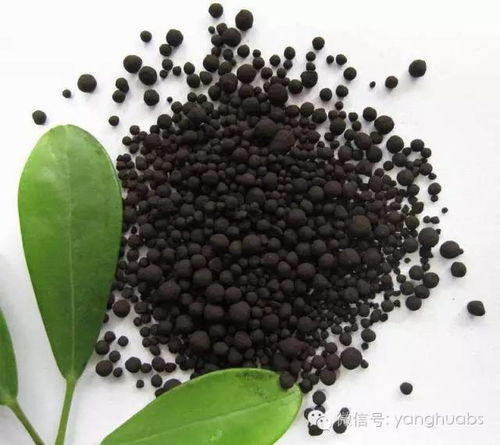 愛(ài)養花的小小陸