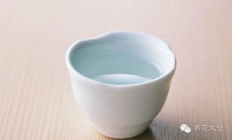 白酒也可養花
