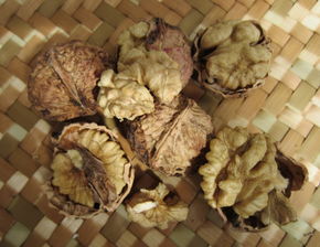 核桃發(fā)霉了能養花嗎