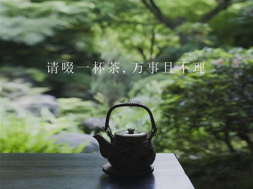 獨品清茶細聽(tīng)雨淡笑塵世靜養花