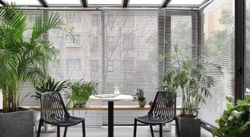 室內燈能代替陽(yáng)光養花嗎