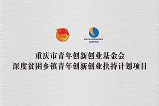 脫貧,攻堅,創(chuàng  )新,創(chuàng  )業(yè)