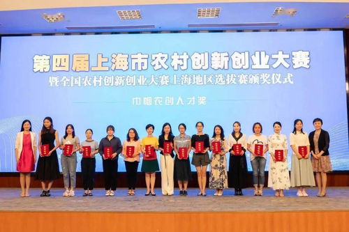 上海市級大學(xué)生創(chuàng  )新創(chuàng  )業(yè)項目,重慶市市級創(chuàng  )新創(chuàng  )業(yè)項目,創(chuàng  )新創(chuàng  )業(yè)項目計劃書(shū)