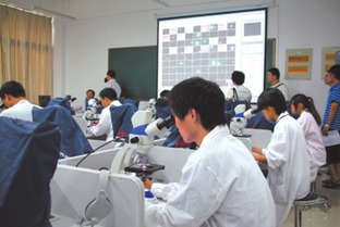 創(chuàng  )新創(chuàng  )業(yè)教育應用型