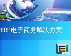 電子商務(wù)創(chuàng  )新創(chuàng  )業(yè)項目方案