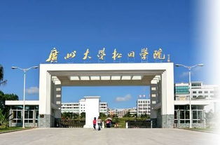 廣州大學(xué)松田學(xué)院創(chuàng  )新創(chuàng  )業(yè)學(xué)院院長(cháng)