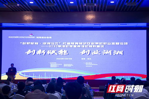 什么是創(chuàng  )新創(chuàng  )業(yè)領(lǐng)域
