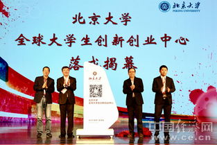 大學(xué)生創(chuàng  )新創(chuàng  )業(yè)服務(wù)網(wǎng),互聯(lián)網(wǎng)+大學(xué)生創(chuàng  )新創(chuàng  )業(yè),大學(xué)生創(chuàng  )新創(chuàng  )業(yè)怎么寫(xiě)