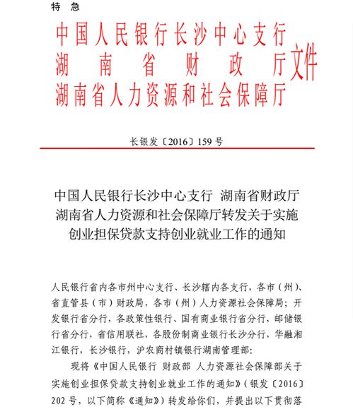 創(chuàng  )業(yè)擔保貸款扶持方面特色創(chuàng  )新做法主要有