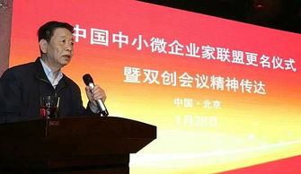 創(chuàng  )業(yè)創(chuàng  )新企業(yè)家