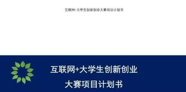 互聯(lián)網(wǎng),計劃書(shū),創(chuàng  )業(yè)項目,創(chuàng  )新