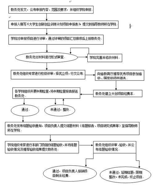 執行情況,過(guò)程中,創(chuàng  )業(yè)項目,財務(wù)