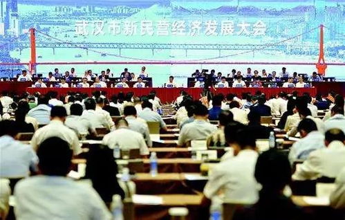 民營(yíng)經(jīng)濟,新模式,創(chuàng  )新,創(chuàng  )業(yè)