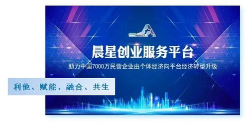 我的創(chuàng  )新創(chuàng  )業(yè)夢(mèng)想,創(chuàng  )新創(chuàng  )業(yè)夢(mèng)想心得體會(huì ),大學(xué)生創(chuàng  )新創(chuàng  )業(yè)夢(mèng)想