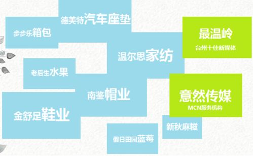 直播帶貨創(chuàng  )業(yè)計劃書(shū)(大學(xué)生版),鄉村直播帶貨創(chuàng  )業(yè)計劃書(shū),直播帶貨syb創(chuàng  )業(yè)計劃書(shū)