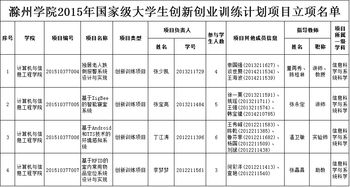 2015大學(xué)生創(chuàng  )新創(chuàng  )業(yè)計劃書(shū)