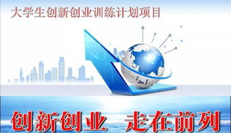 創(chuàng  )業(yè)項目,申報,創(chuàng  )新,大學(xué)生