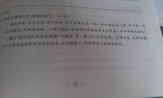 可嘉,作文,事例,創(chuàng  )業(yè)精神