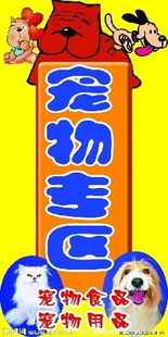 策劃,創(chuàng  )新,創(chuàng  )業(yè),寵物食品