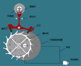 創(chuàng  )新創(chuàng  )業(yè)比賽項目分工有哪些