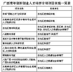 創(chuàng  )新創(chuàng  )業(yè)計劃與實(shí)施方案