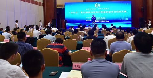 創(chuàng  )新創(chuàng  )業(yè)活動(dòng)標題