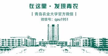 大學(xué)生創(chuàng  )新創(chuàng  )業(yè)團隊分工有哪些,大學(xué)生創(chuàng  )新創(chuàng  )業(yè)團隊分工,創(chuàng  )新創(chuàng  )業(yè)團隊分工介紹