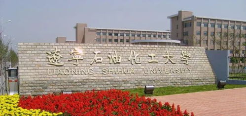 遼寧,石油,化工大學(xué),創(chuàng  )新