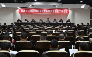 創(chuàng  )新,會(huì )議,文件,創(chuàng  )業(yè)