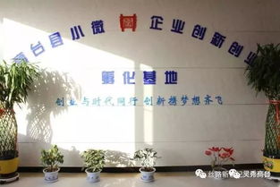 創(chuàng  )新創(chuàng  )業(yè)基地運營(yíng)專(zhuān)員,創(chuàng  )新創(chuàng  )業(yè)運營(yíng)分析,創(chuàng  )新創(chuàng  )業(yè)運營(yíng)計劃