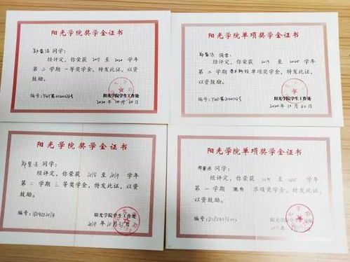創(chuàng  )新創(chuàng  )業(yè)類(lèi)單項獎學(xué)金申請表