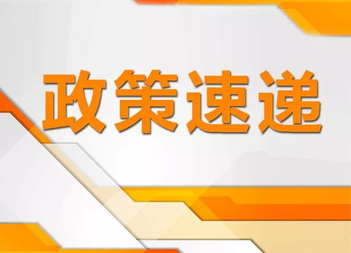 金融創(chuàng  )新創(chuàng  )業(yè)實(shí)訓小結,創(chuàng  )新創(chuàng  )業(yè)實(shí)訓報告,創(chuàng  )新創(chuàng  )業(yè)實(shí)訓總結