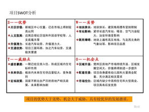 創(chuàng  )新創(chuàng  )業(yè)項目swot分析報告