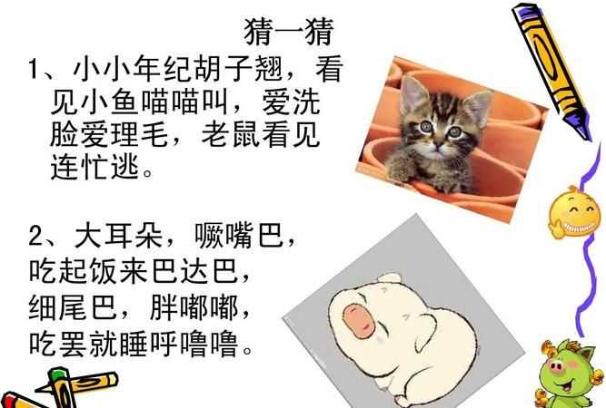 關(guān)于貓的謎語(yǔ)有哪些簡(jiǎn)單點(diǎn)的
