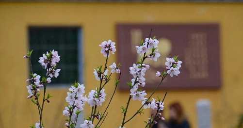 打春和立春有什么區別,立春和打春詞語(yǔ)哪個(gè)好一點(diǎn)圖3