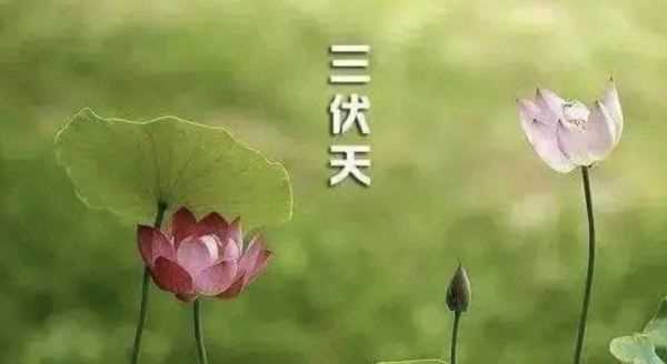 什么時(shí)候初伏天開(kāi)始,2021三伏天從什么時(shí)候開(kāi)始到什么時(shí)候結束圖1