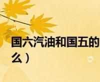 國五國六車(chē)有什么區別標志