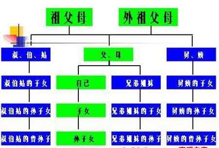 叔叔、舅舅等是不是直系親屬如何界定