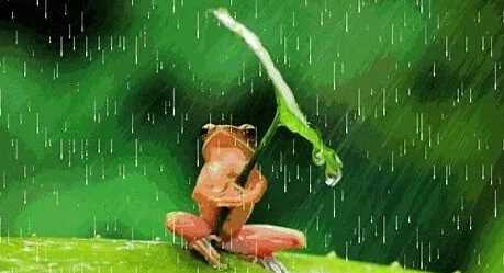 小雨點(diǎn)會變成什么,小雨點(diǎn)兒上山坡變成蘑菇笑呵呵照樣子寫句子圖1