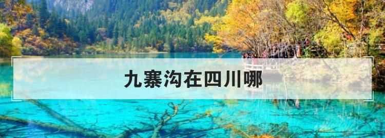 九寨溝都江堰阿壩州屬于哪個省哪個區(qū)