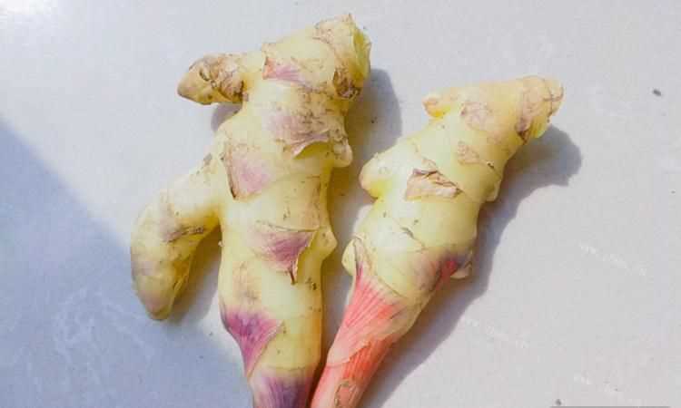新鮮的嫩姜如何保存